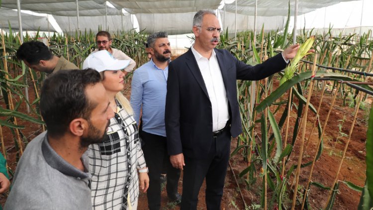 Eyyübiye Sera Kent çiftçilere eğitim desteği verecek