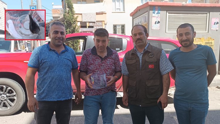 Şanlıurfa’da yaralı ebabil tedavisi tamamlanarak doğaya bırakıldı!