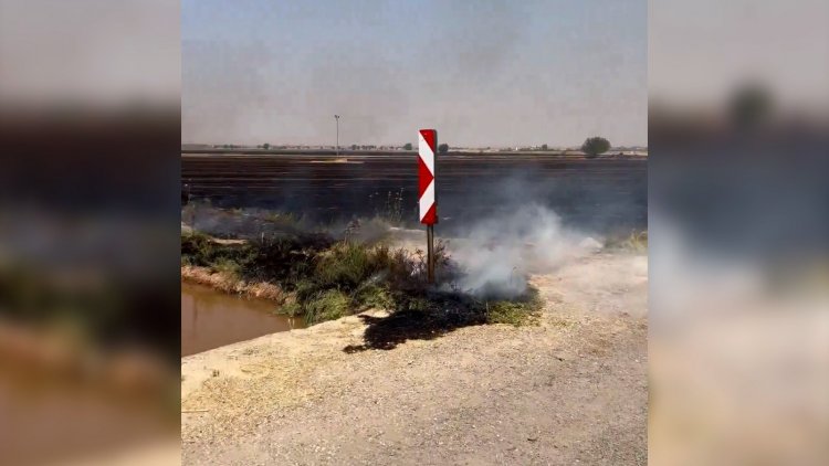 Harran’da anız yangını: 451 bin TL ceza kesildi