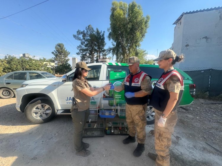 Şanlıurfa’da izinsiz saka kuşu besleyen kişiye para cezası kesildi