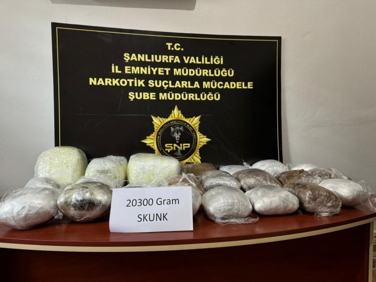 Şanlıurfa’da 20 kilo 300 gram skunk ele geçirildi